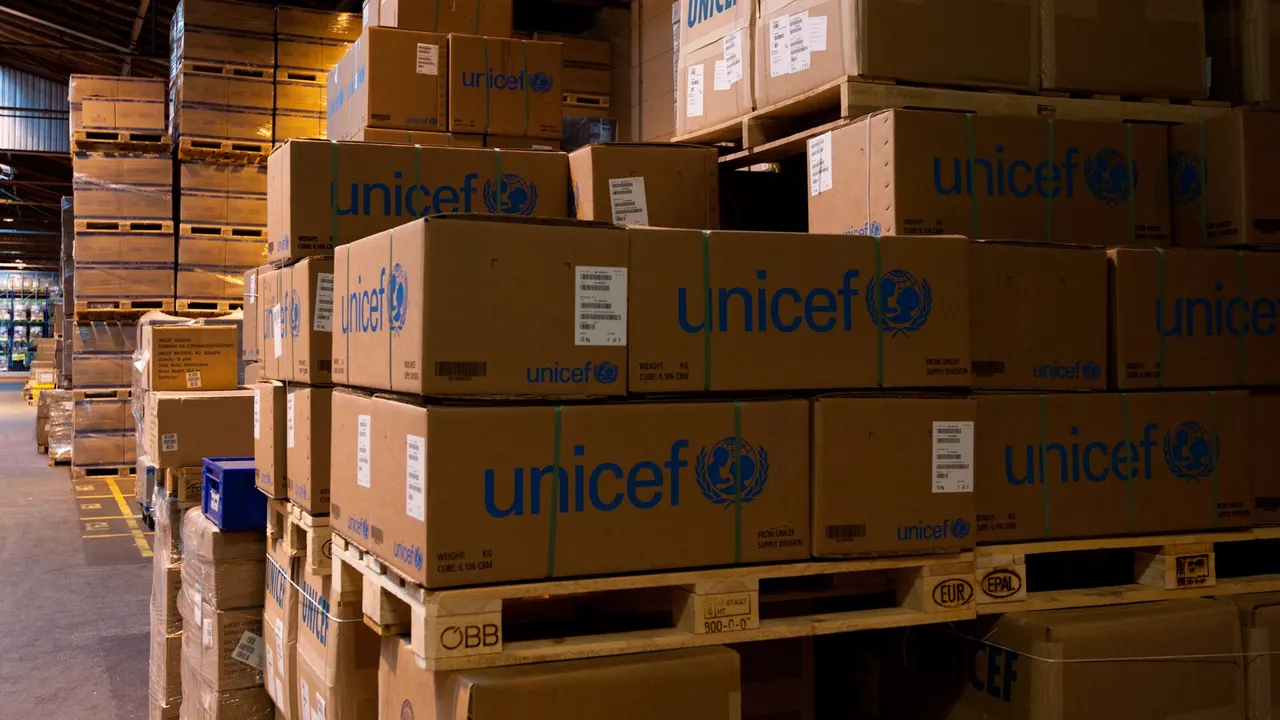 Stacks of brown cardboard cartons printed with blue UNICEF logos sit on wooden pallets in a large warehouse with storage racks behind.